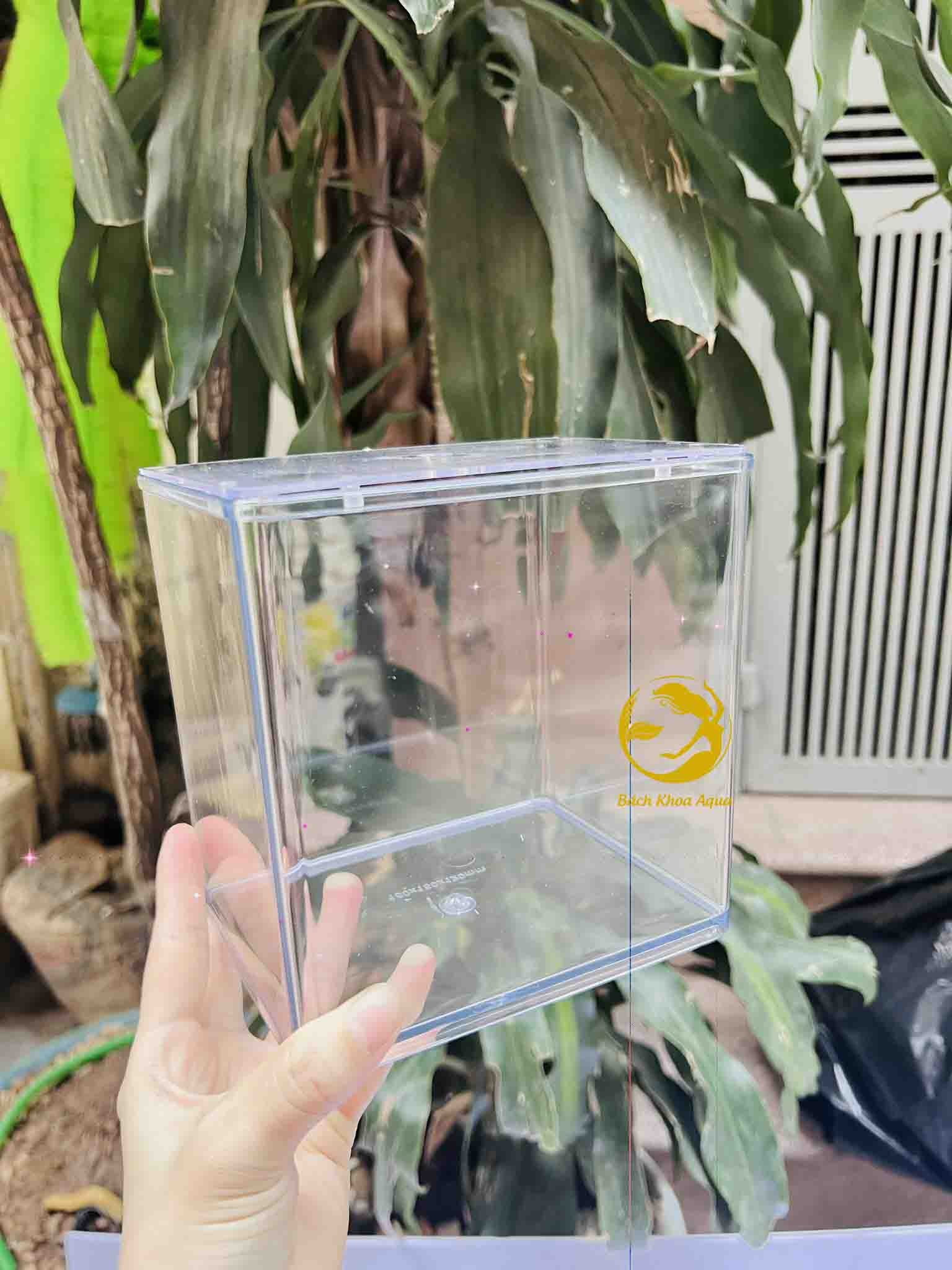 Hồ cá Acrylic trong suốt 15cm và 18cm cho cá nhỏ